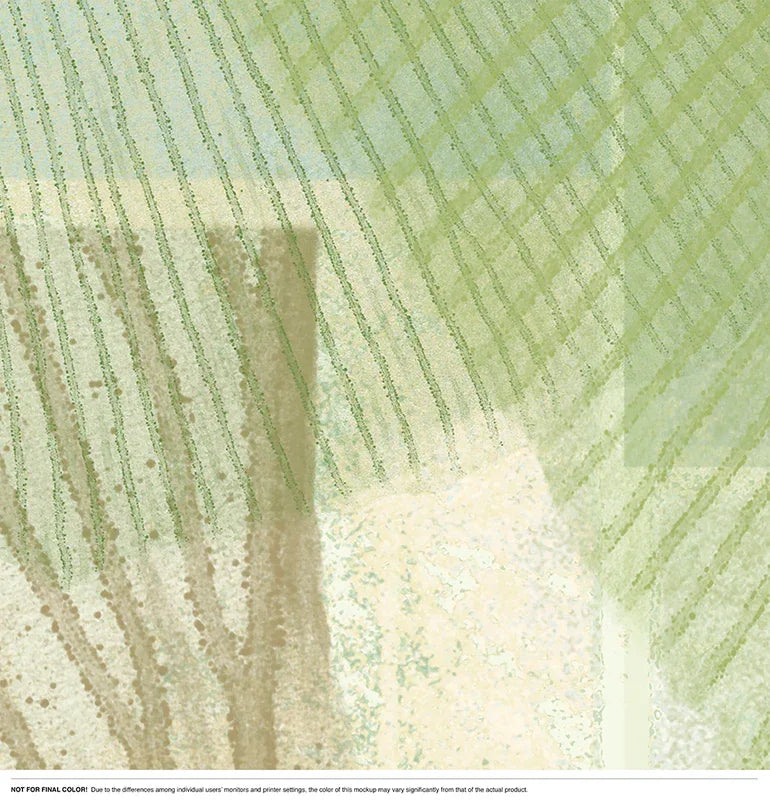 Ginkgo Shadows