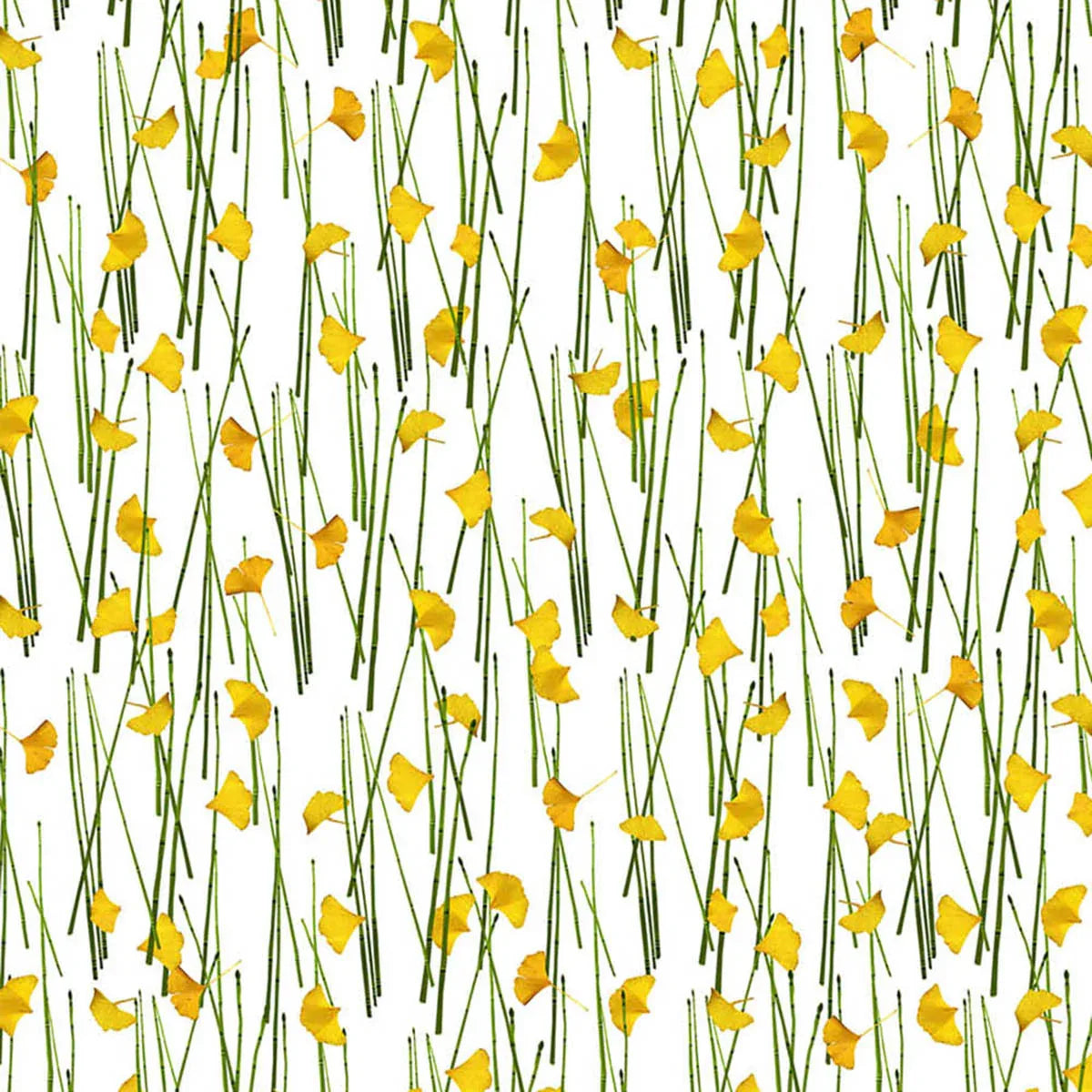 Ginko