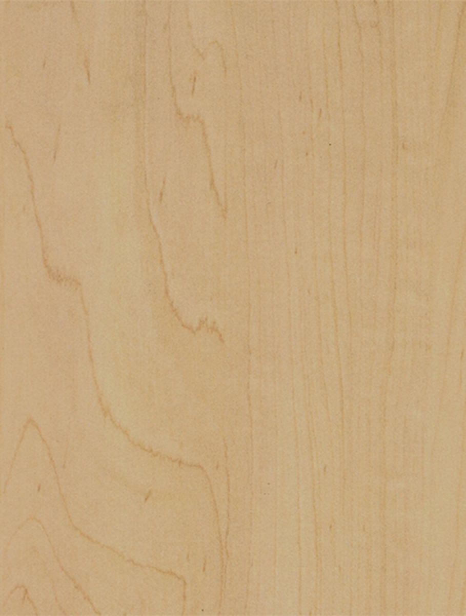 Hard Rock Maple 0791