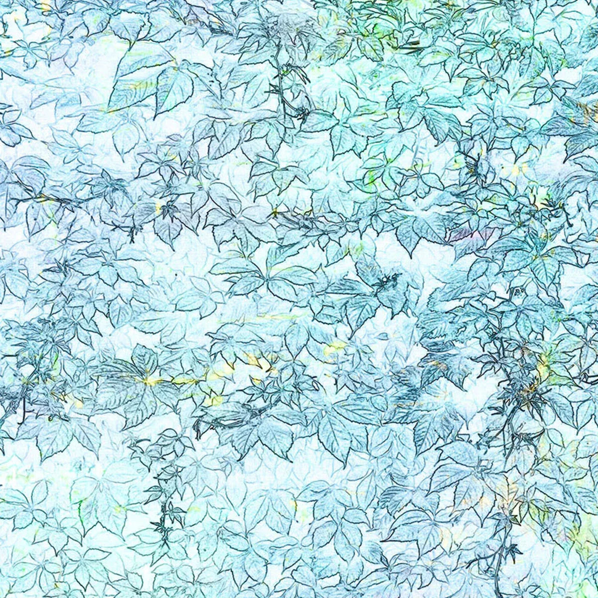 Hedge Row