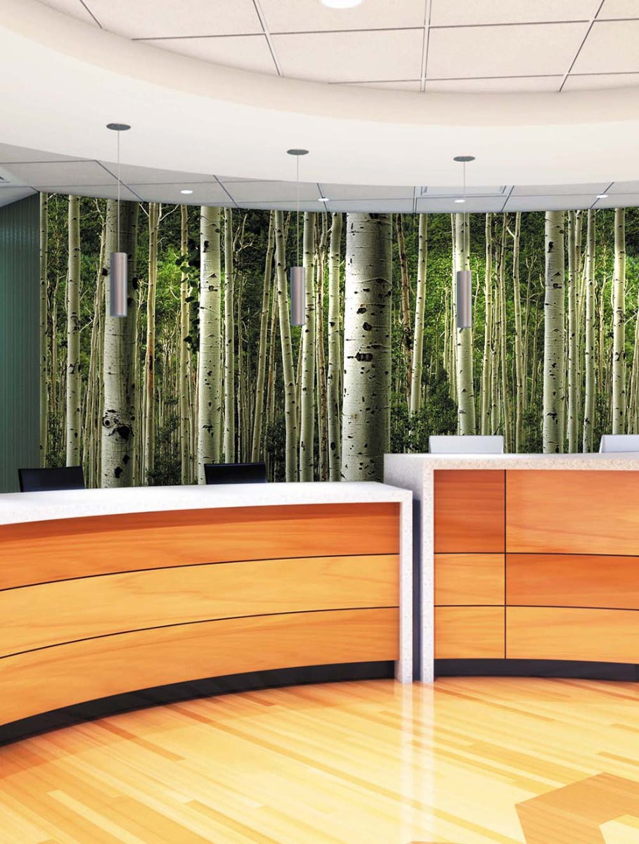 Aspen Forest Mural
