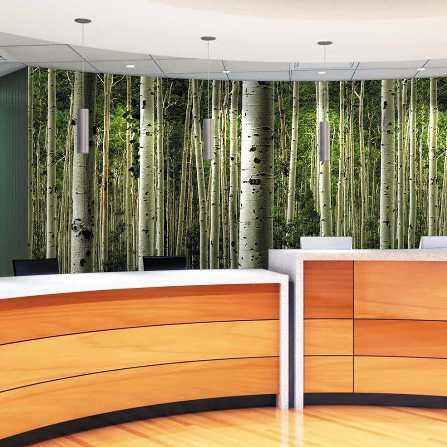 Patterned Wall Protection Wall Protection – Surface Materials