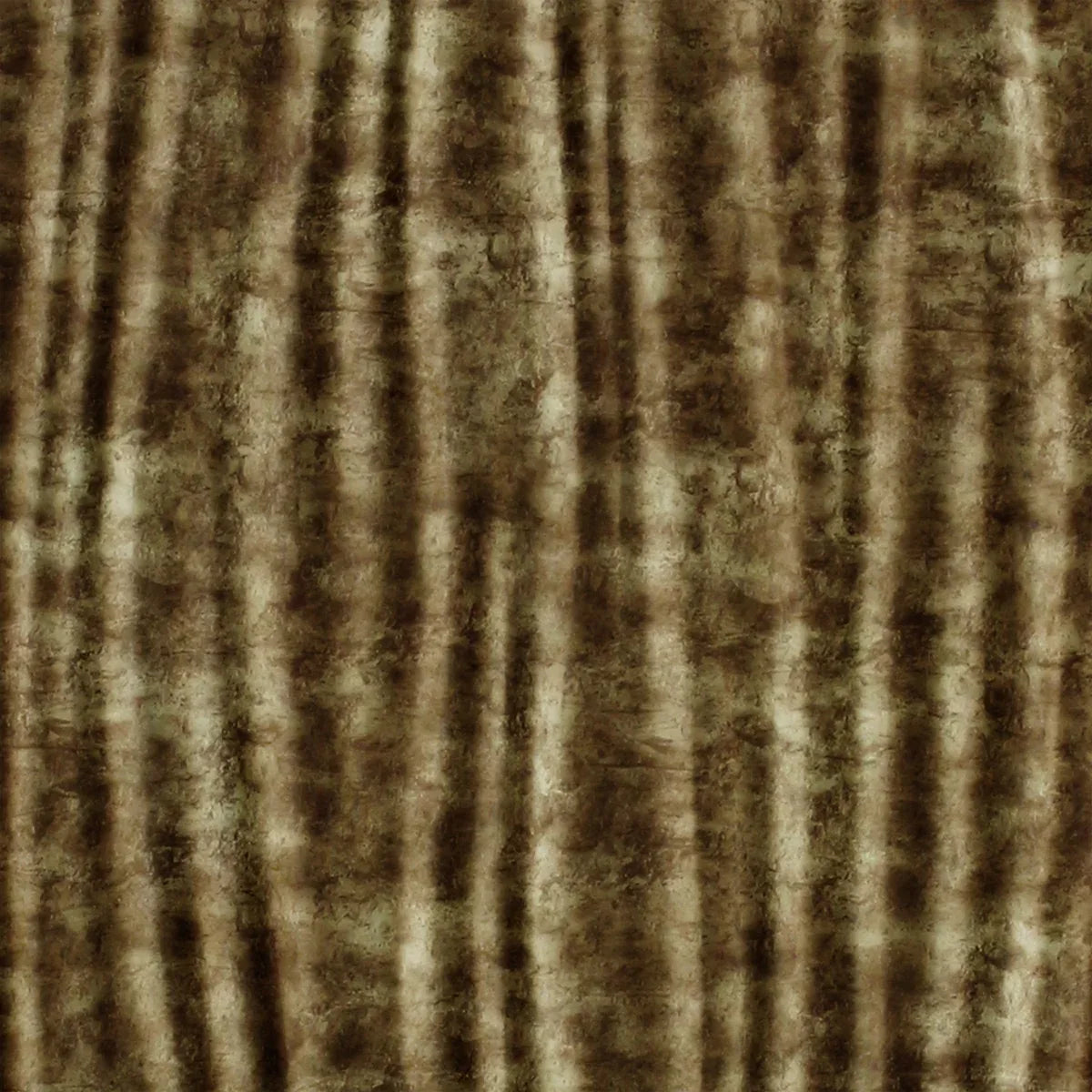 Kalahari