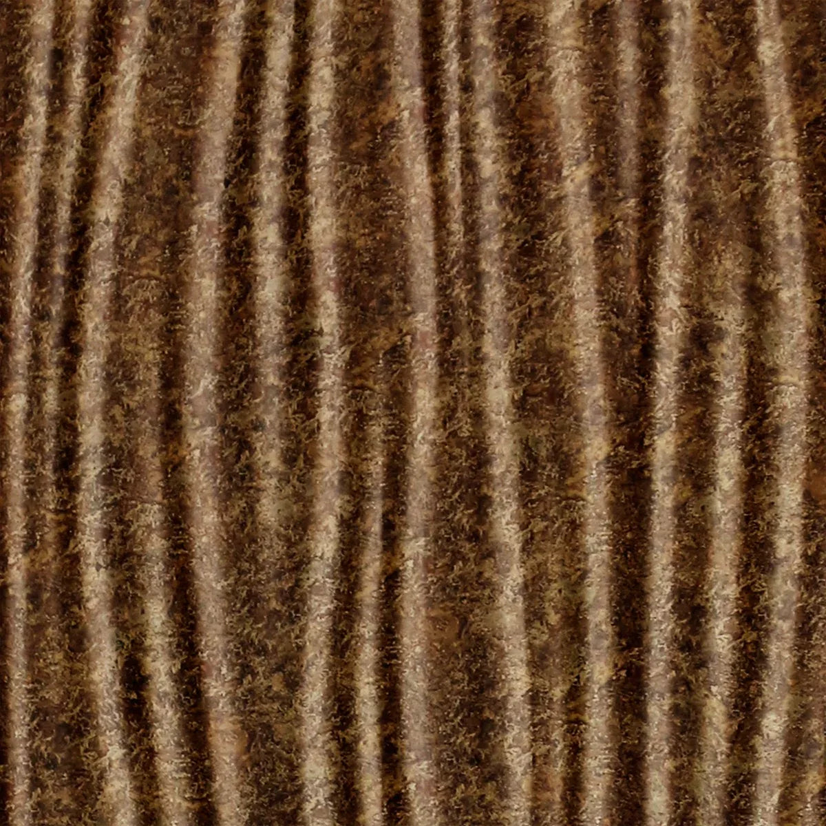 Kalahari