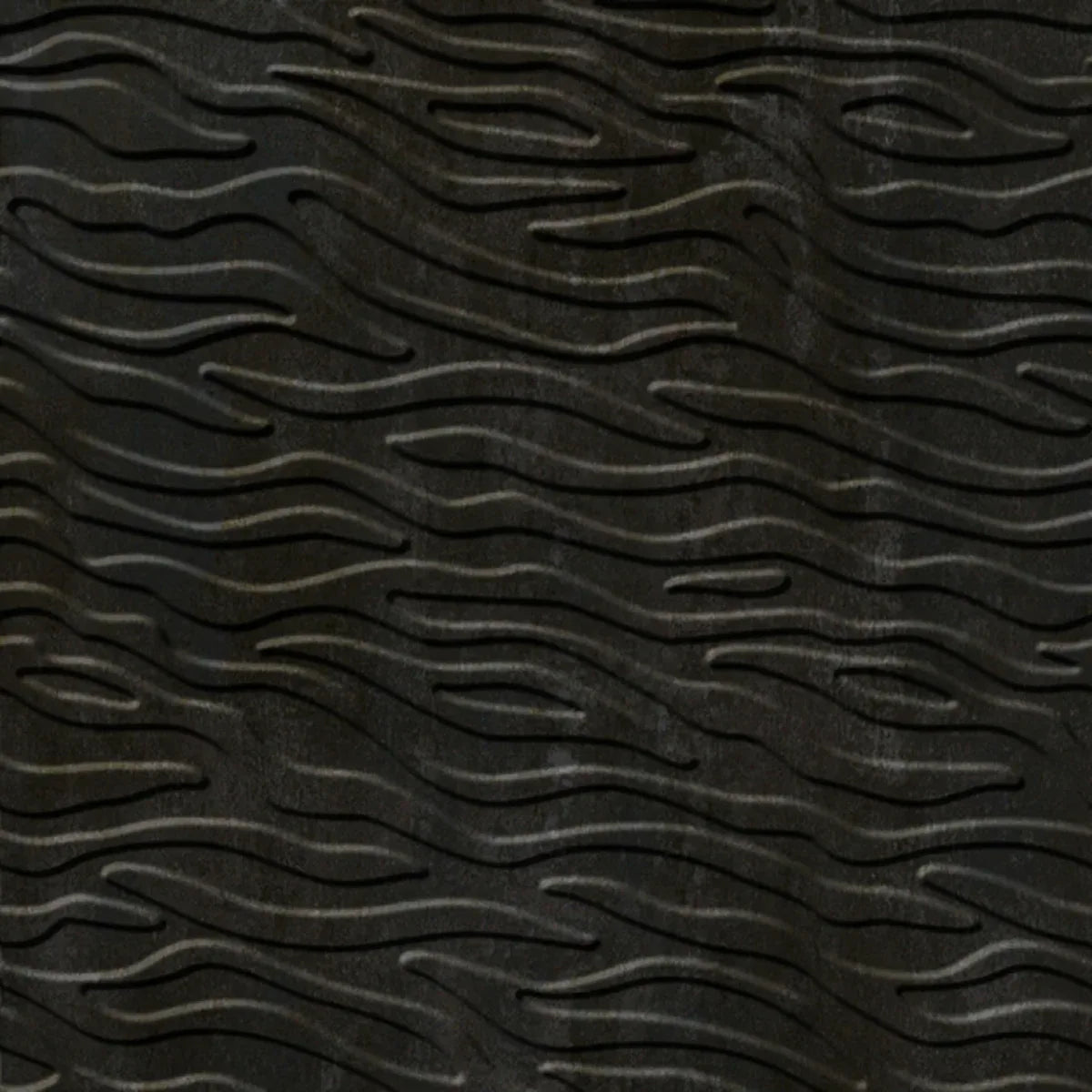 Kelp