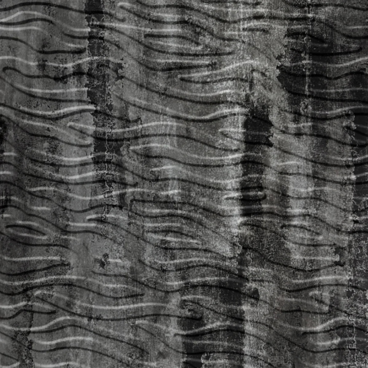 Kelp