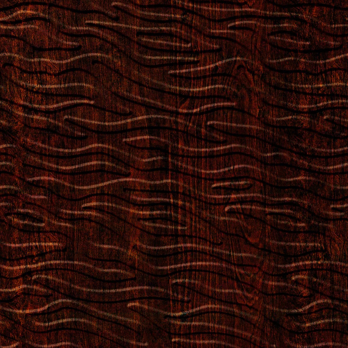Kelp