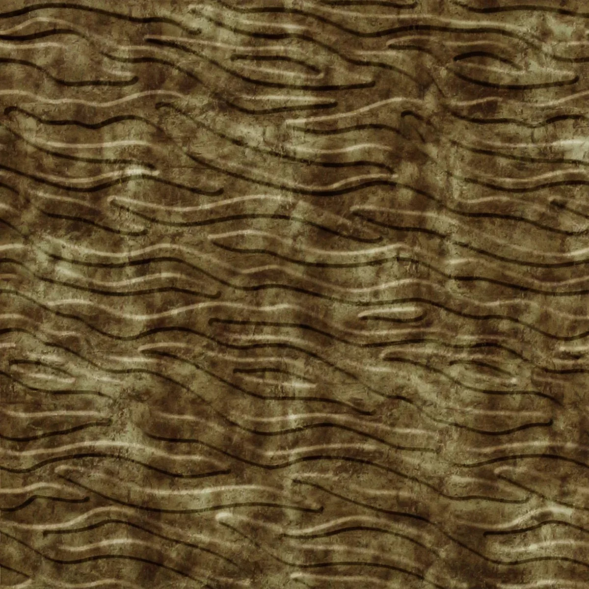 Kelp