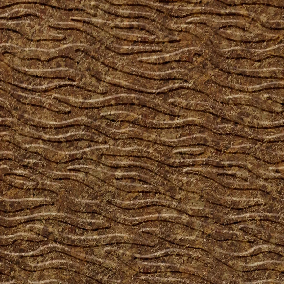Kelp