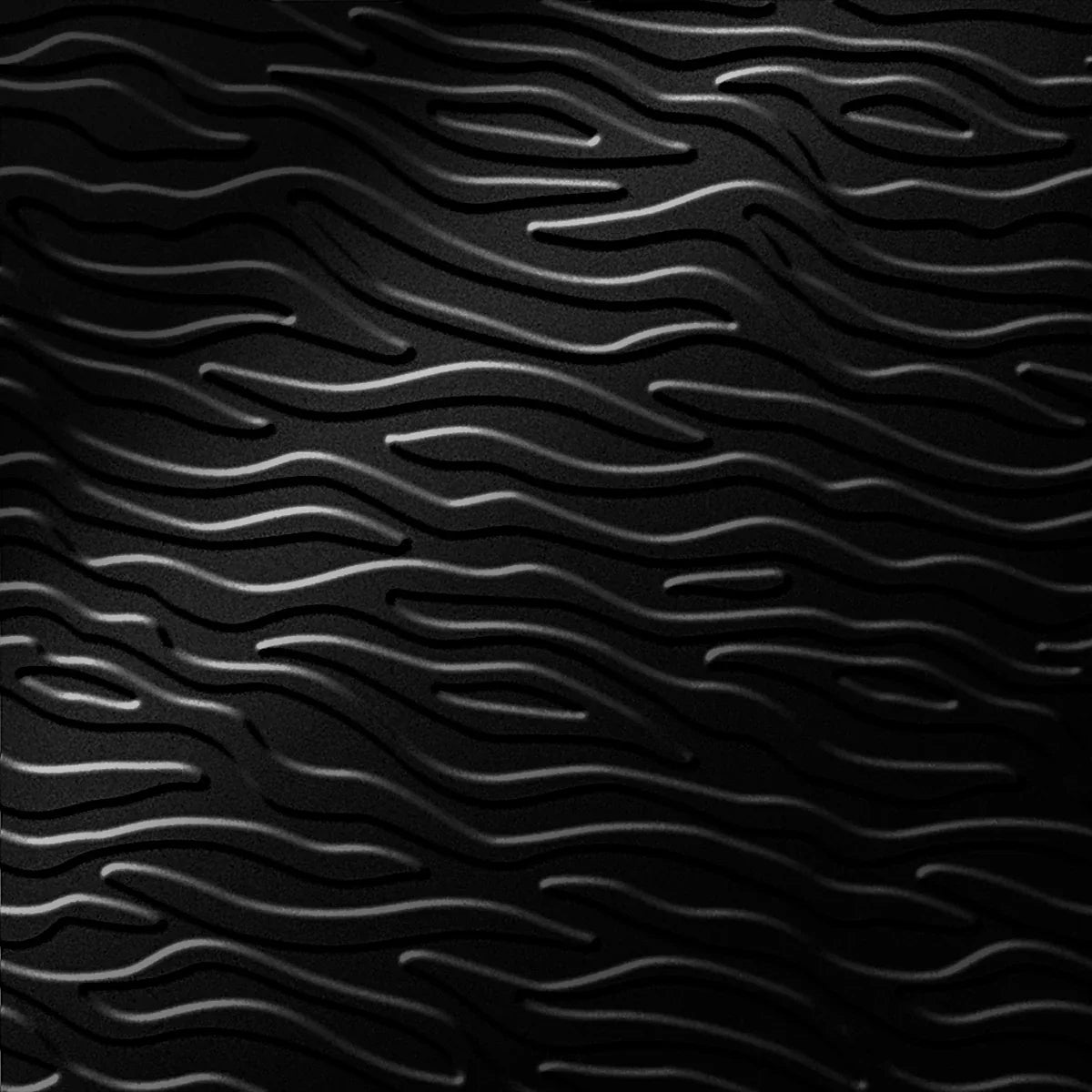 Kelp