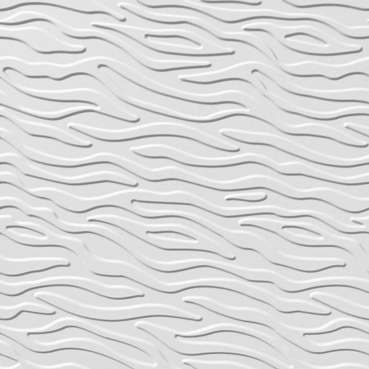 Kelp