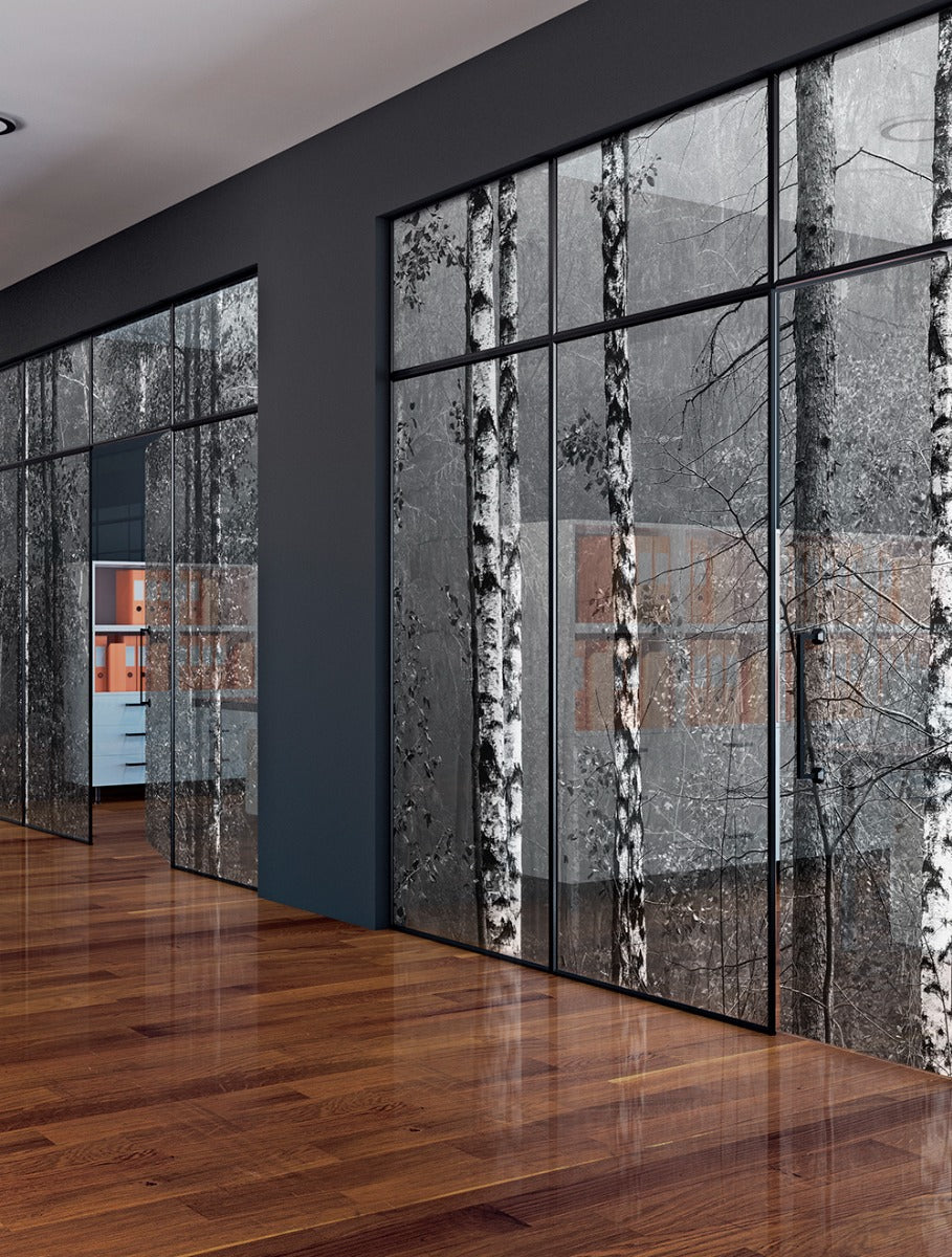 Birch Forest Window Film