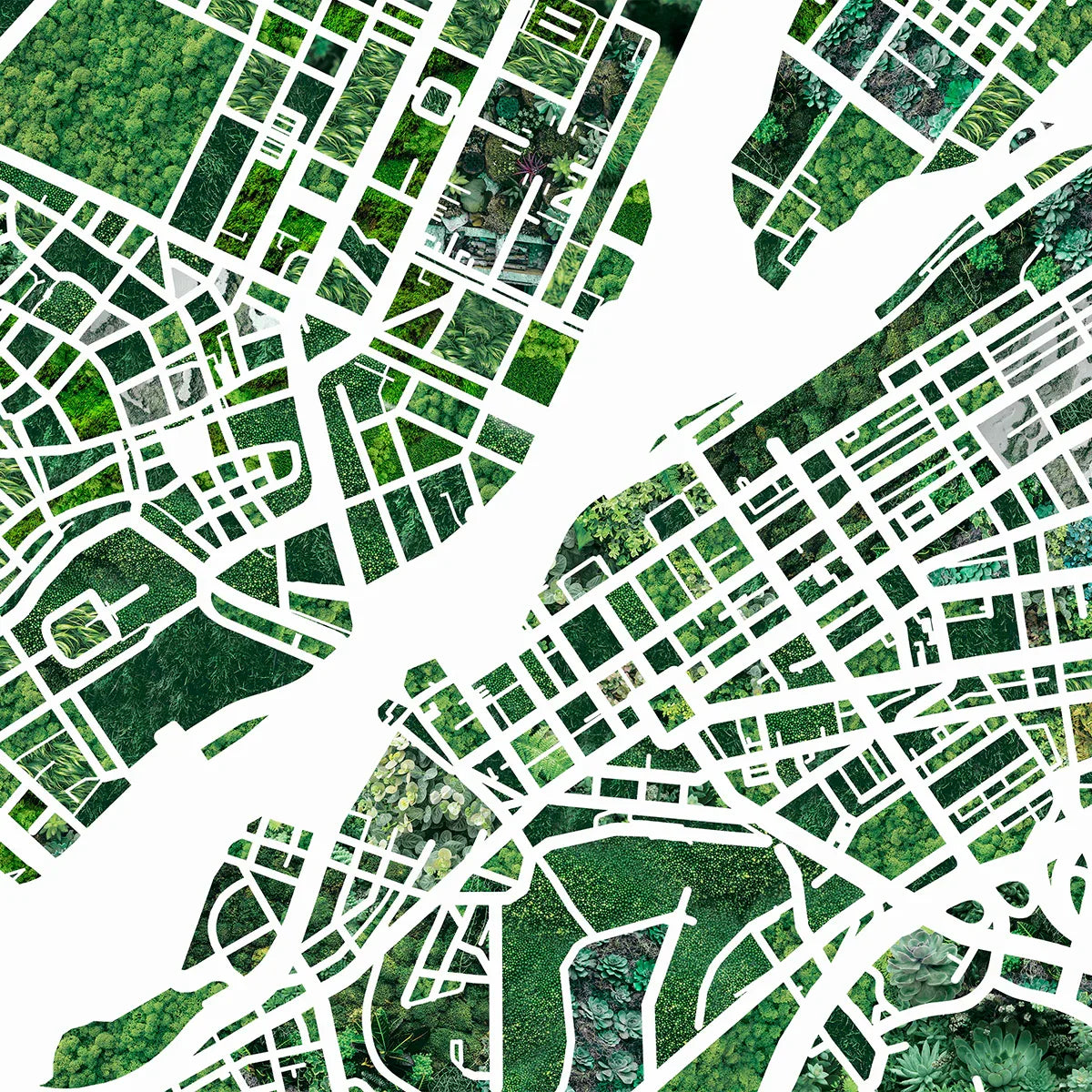 Metropolitan