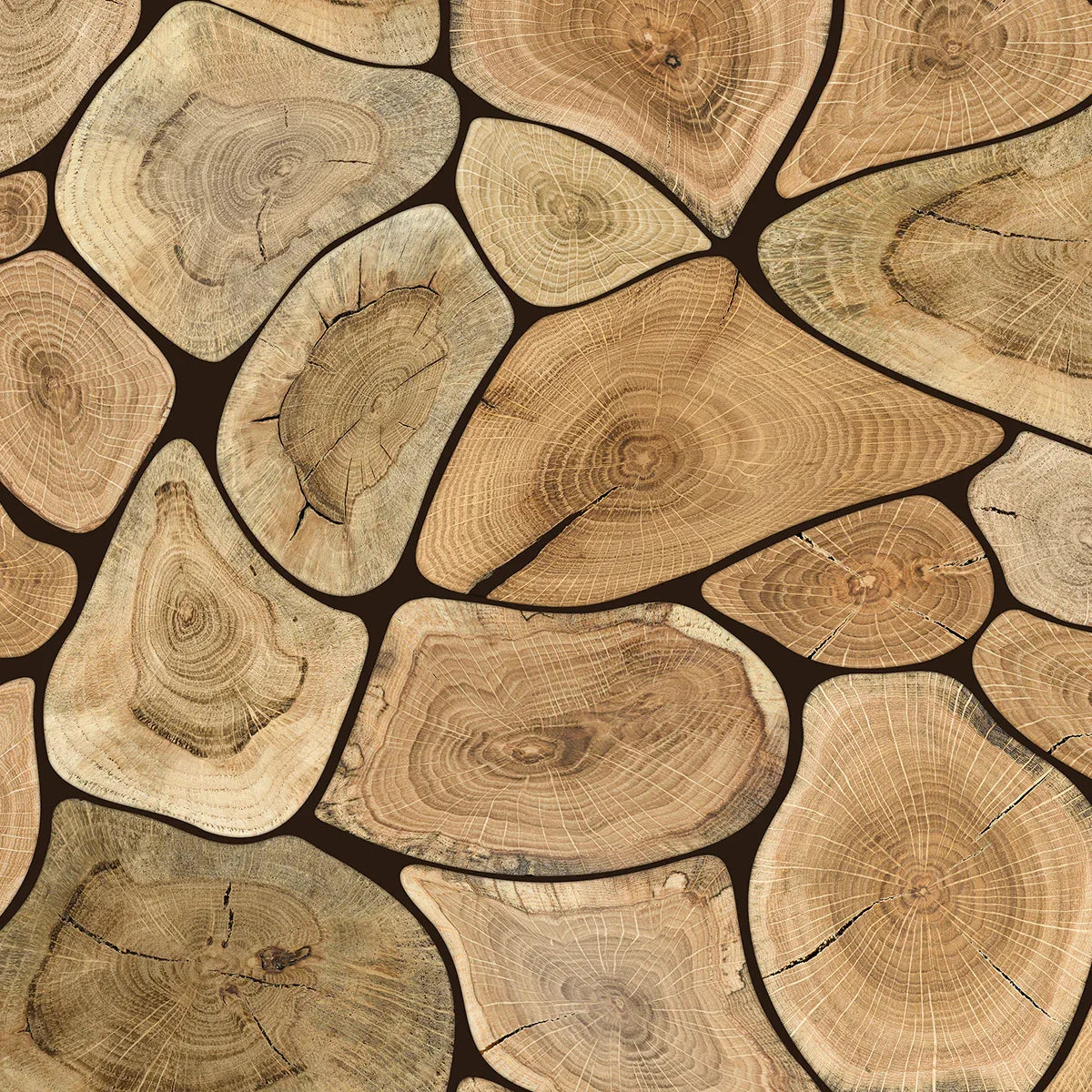 Tree Rings