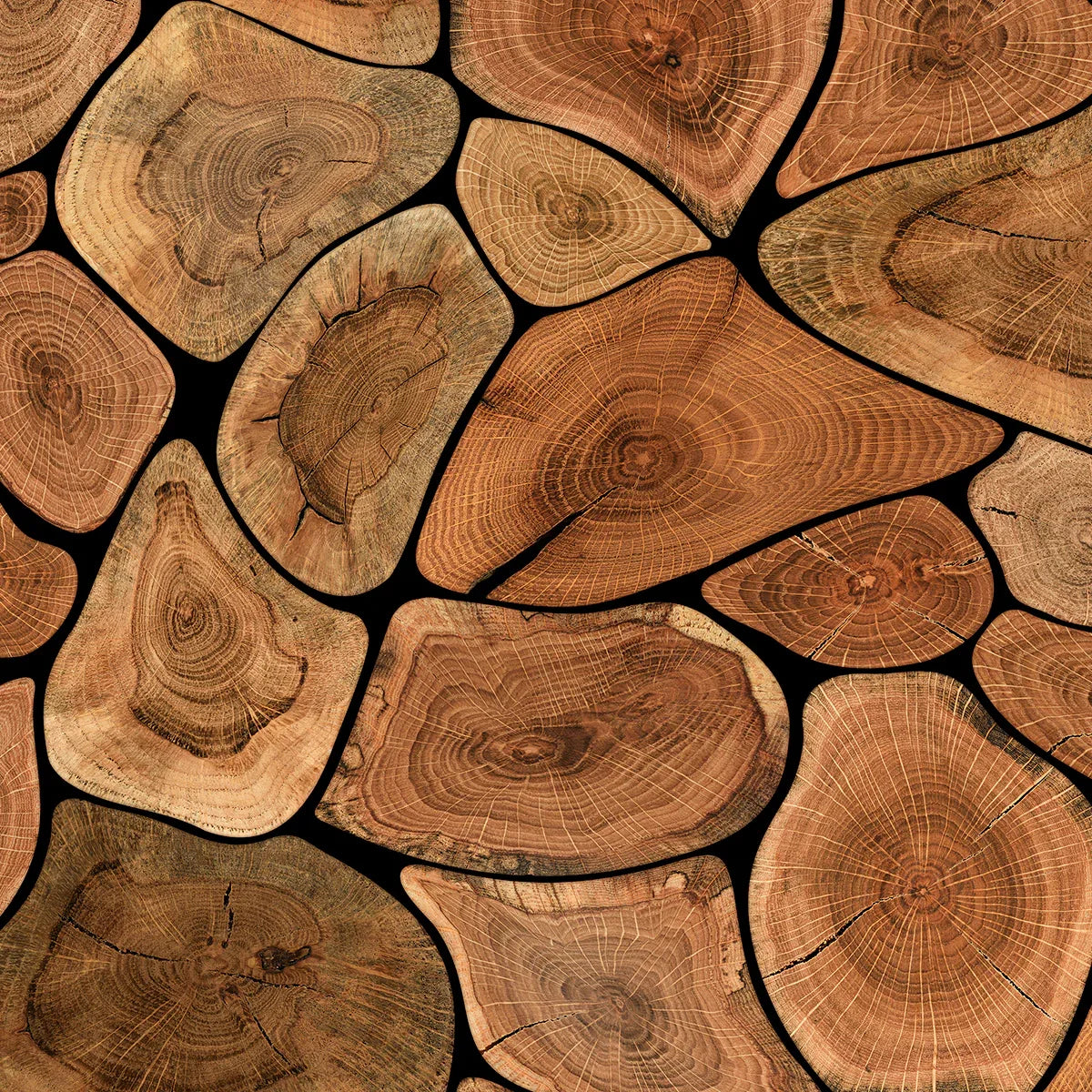Tree Rings