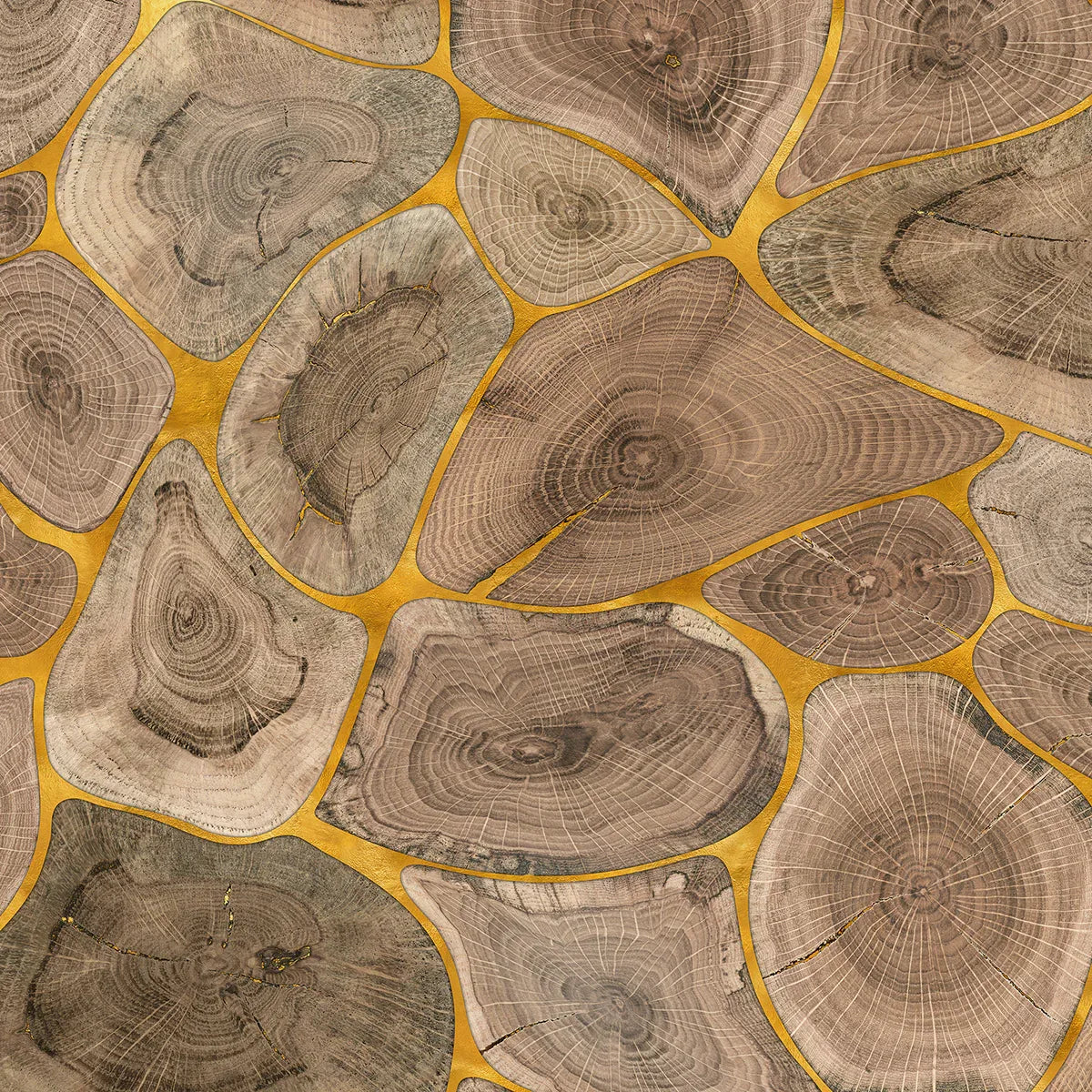 Tree Rings