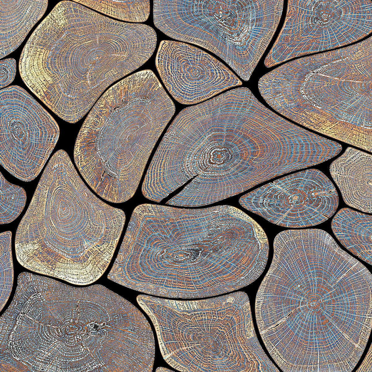 Tree Rings
