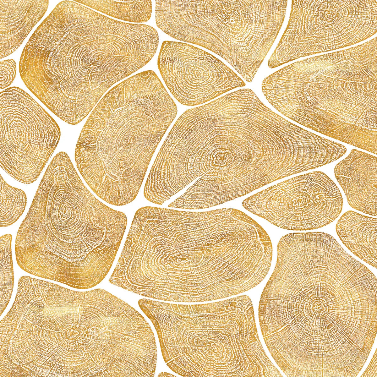Tree Rings