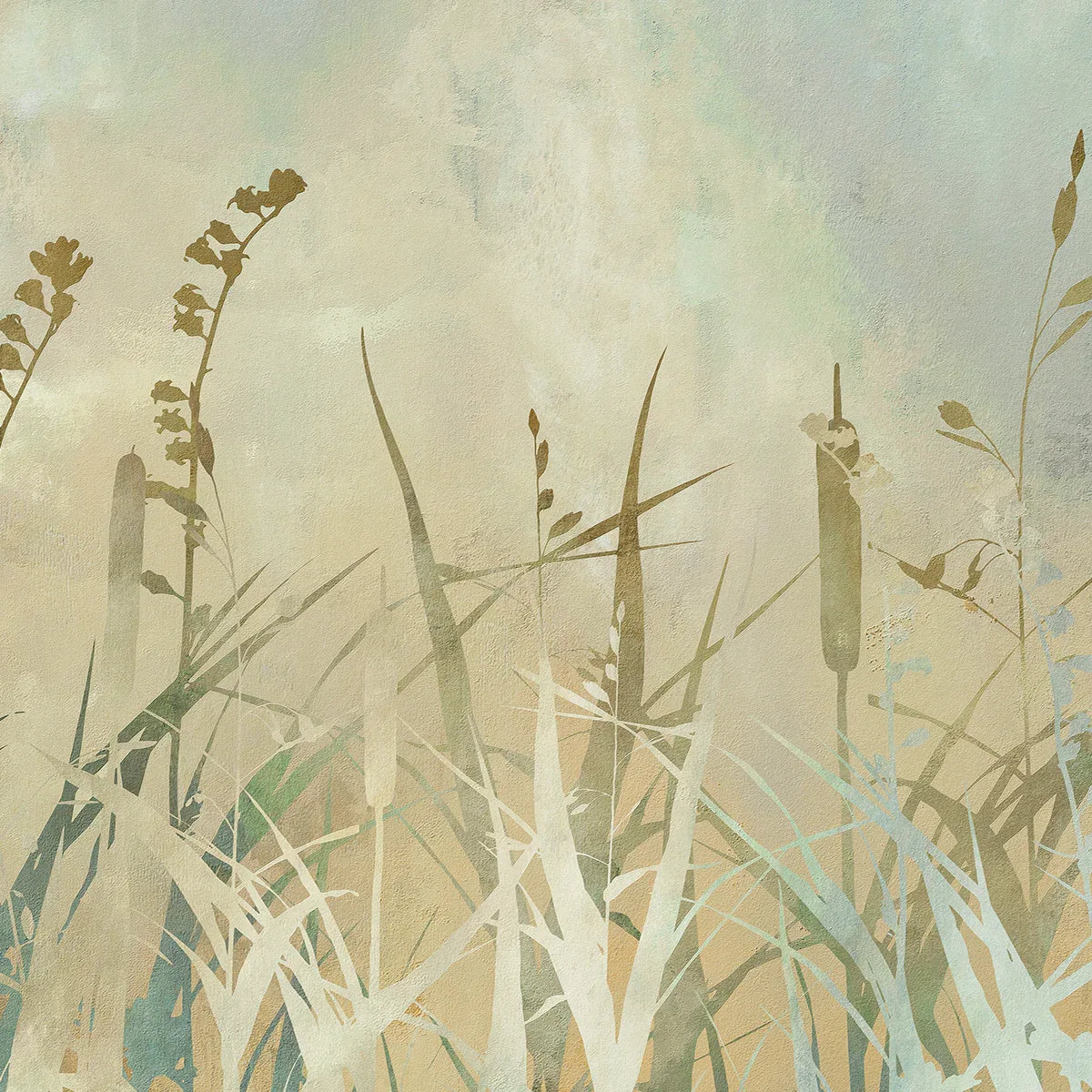 Cat Tails