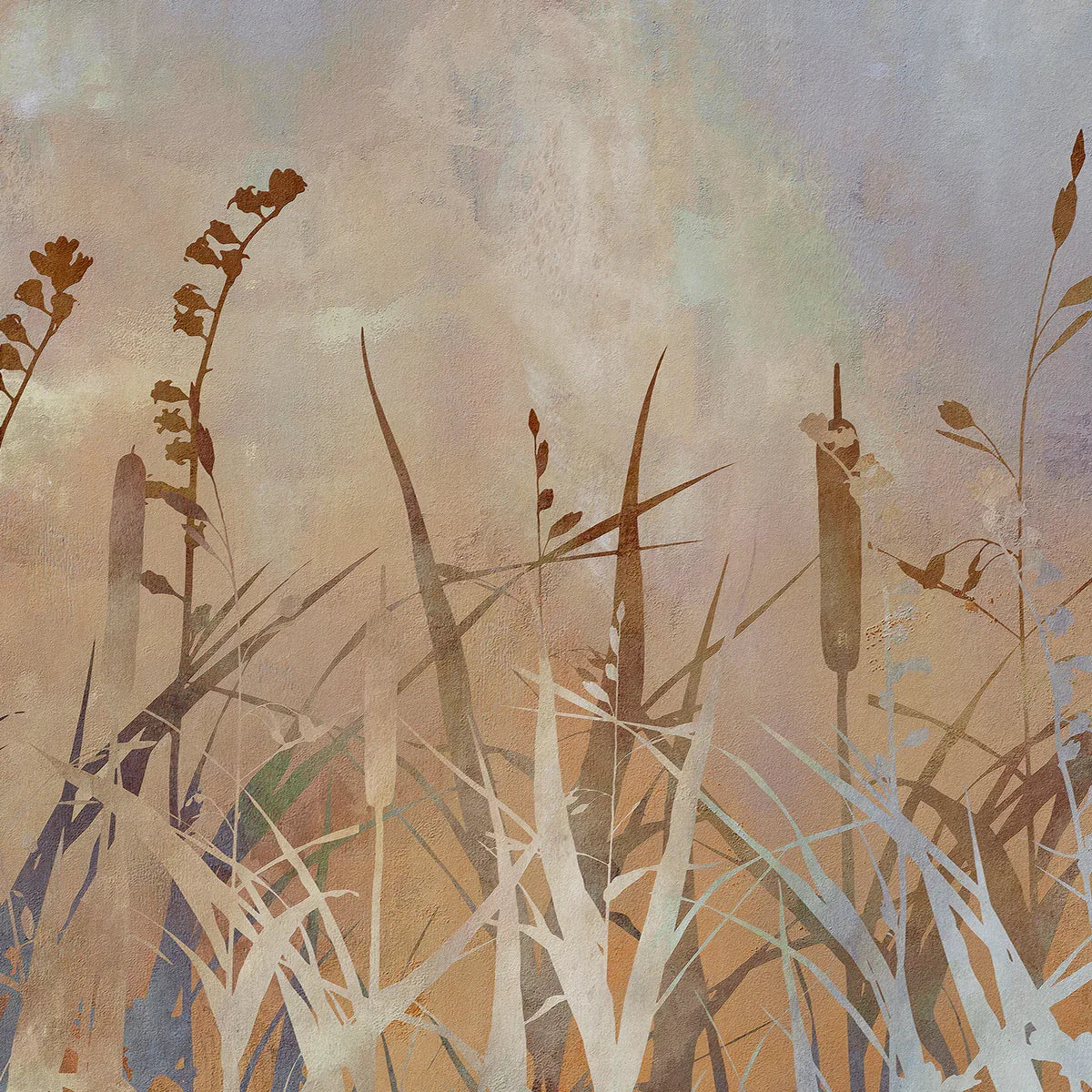 Cat Tails