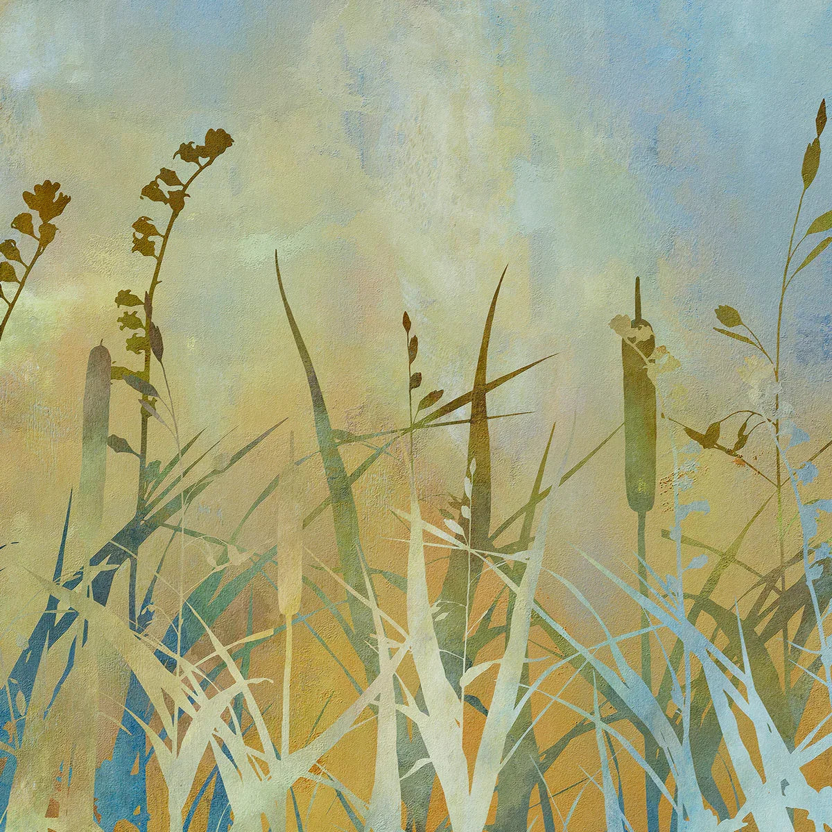 Cat Tails
