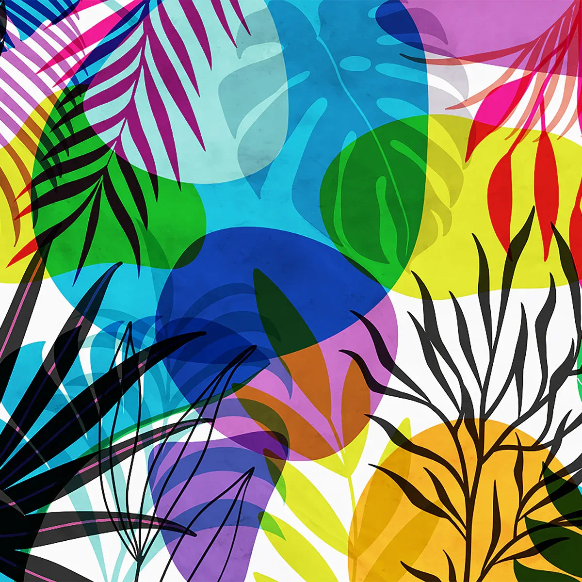 Magic Garden