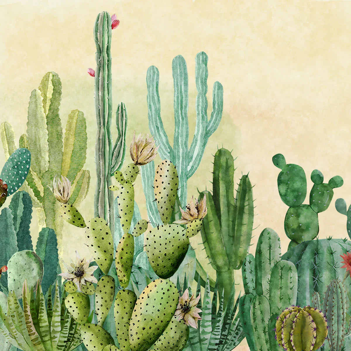 Cactus