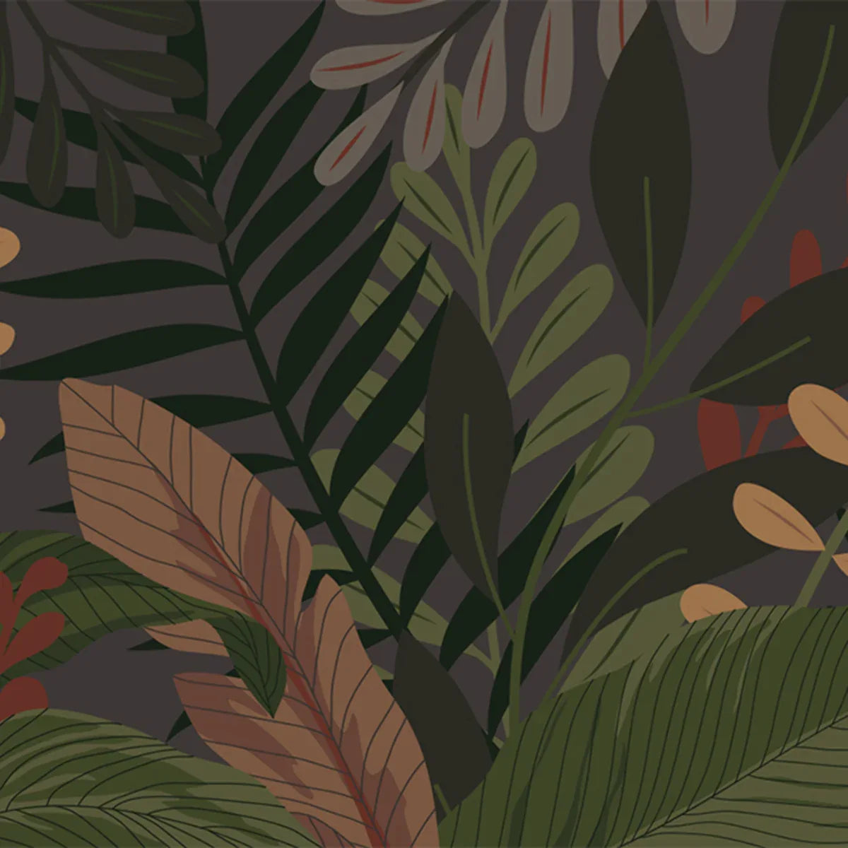 Tropicali