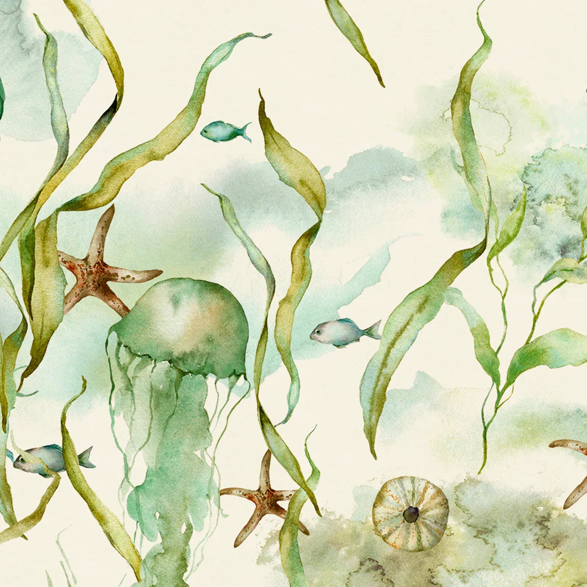 Jellyfish