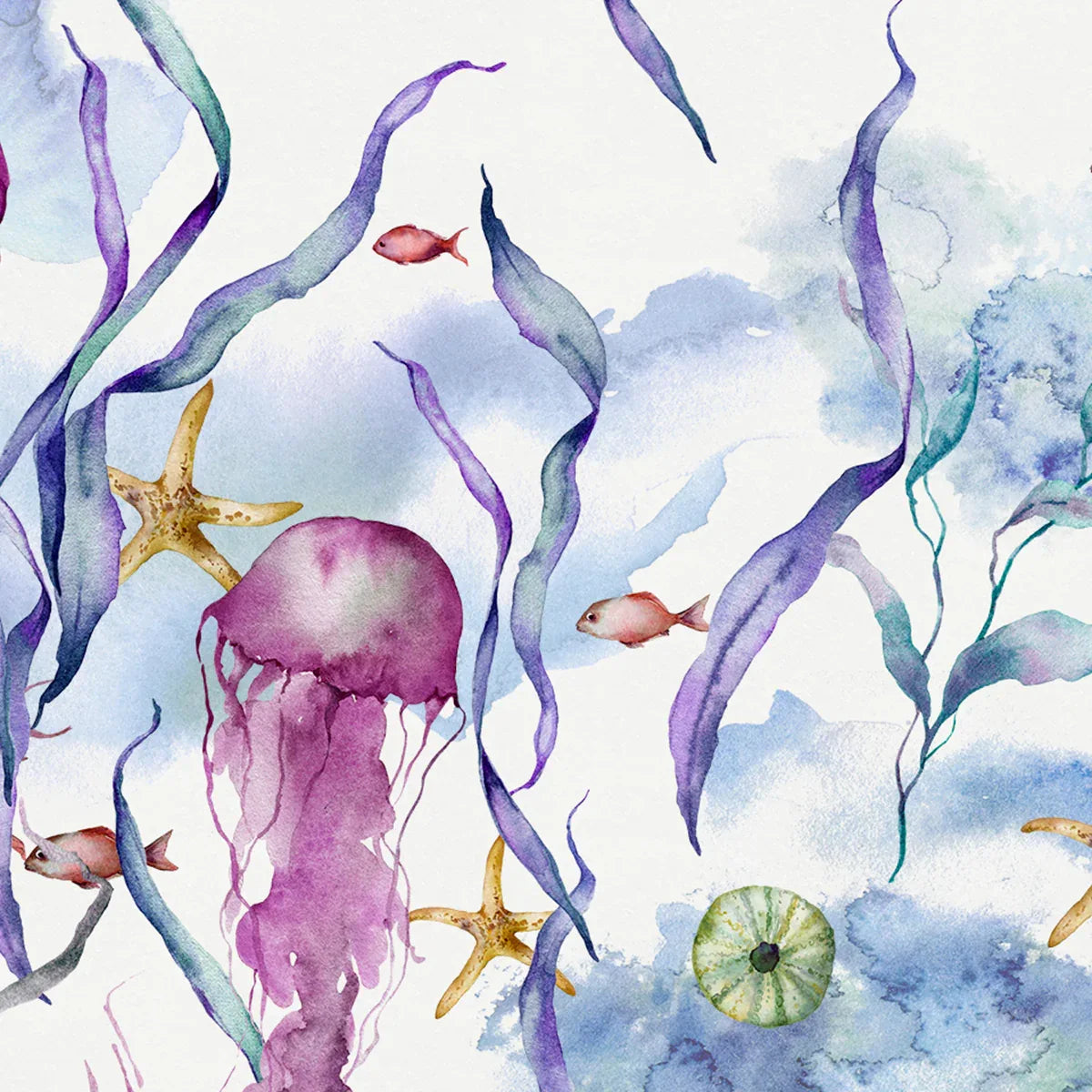 Jellyfish