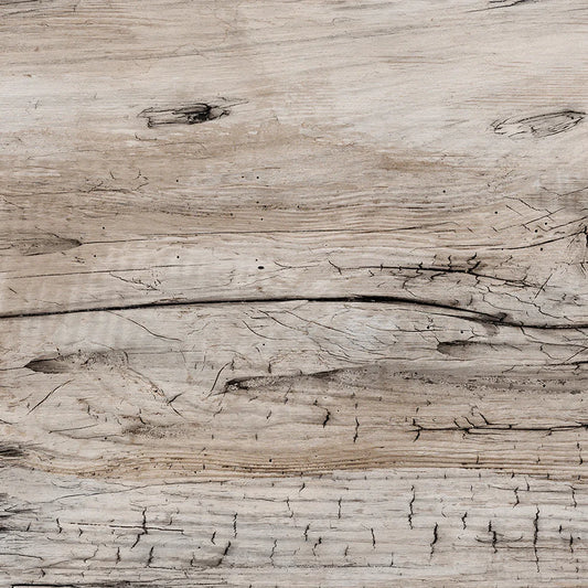 Driftwood