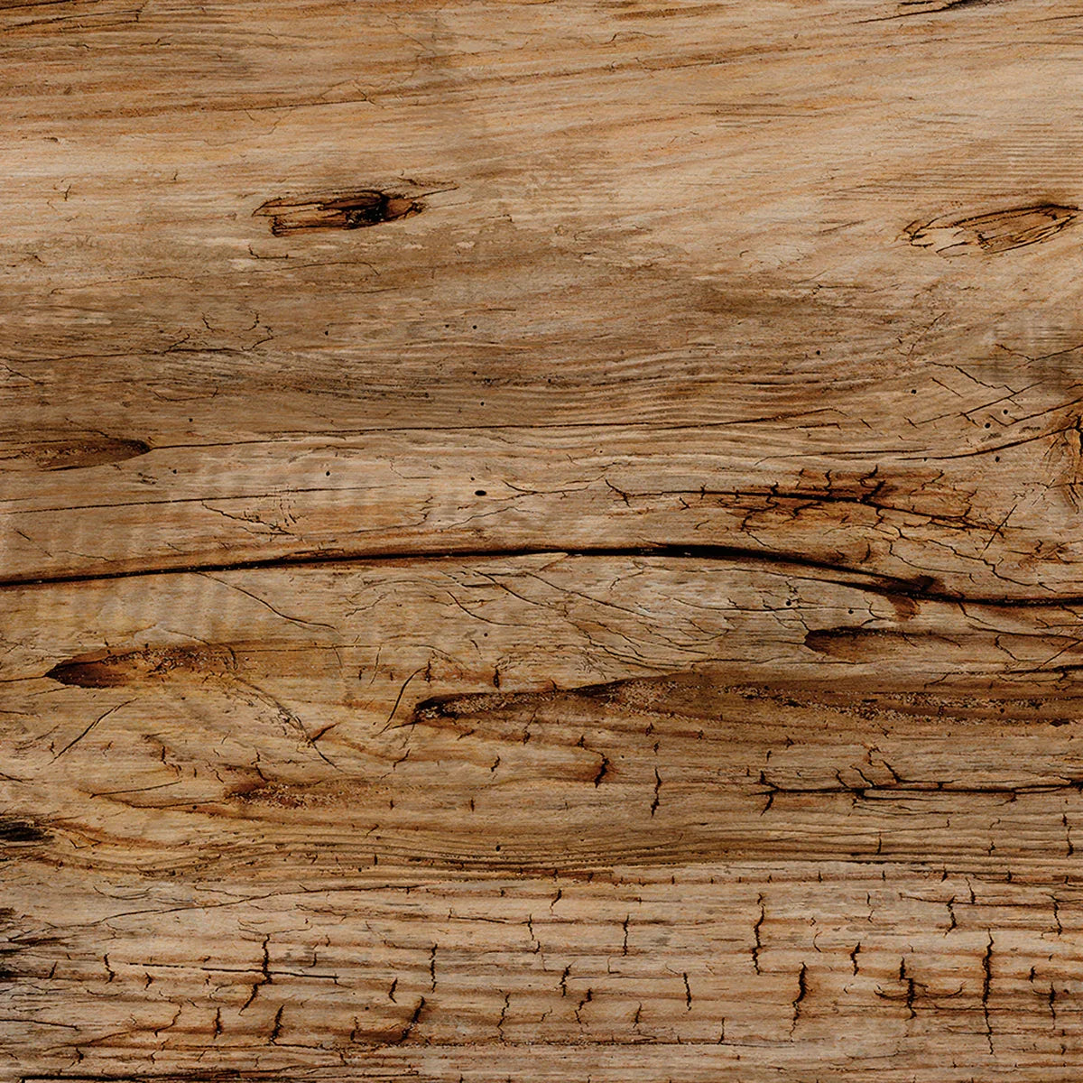 Driftwood