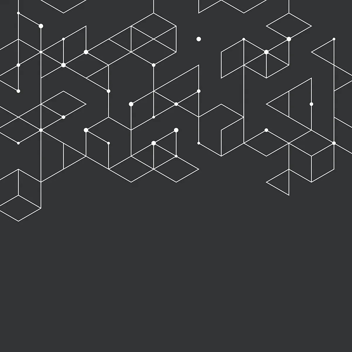 Wireframe