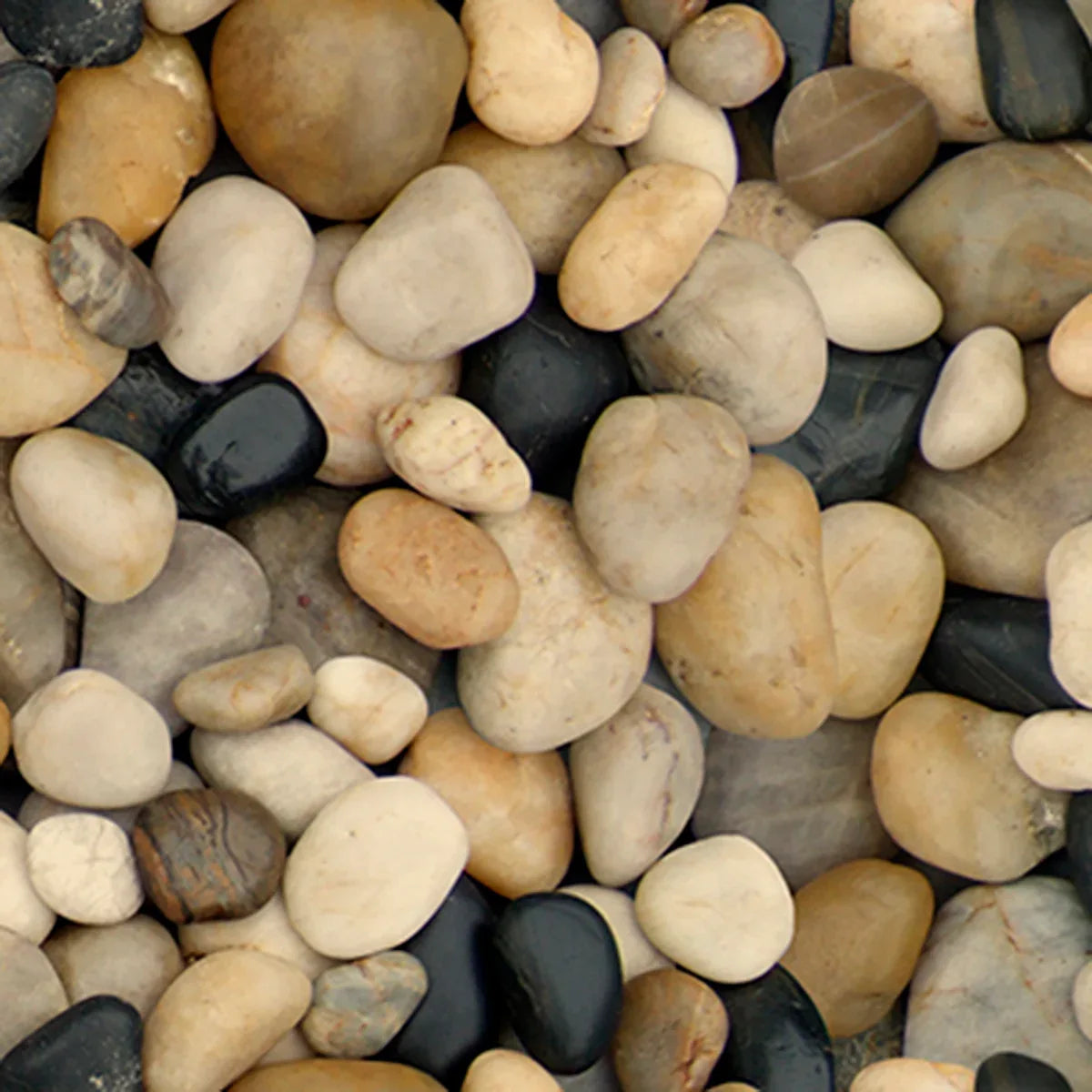 River Stones