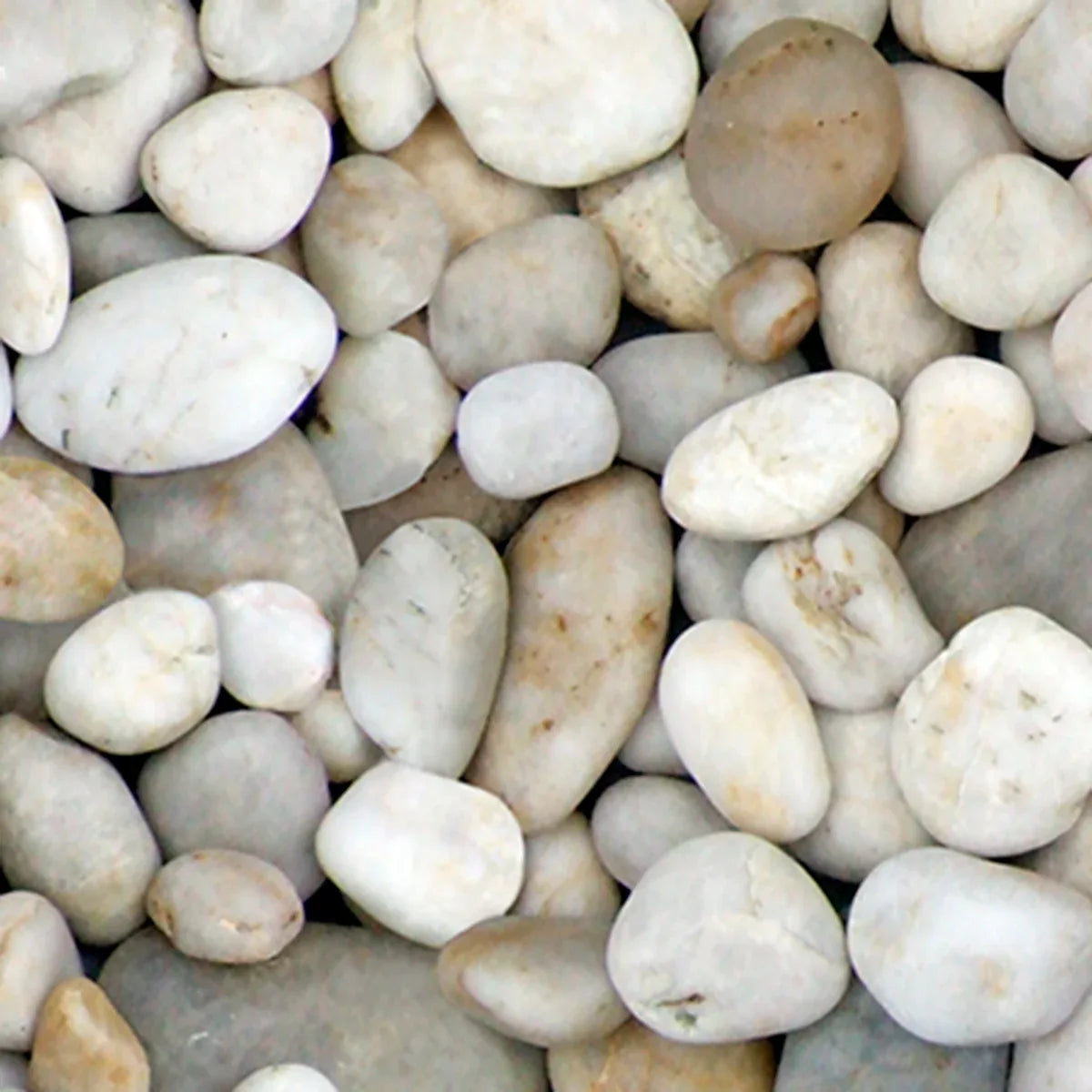 River Stones