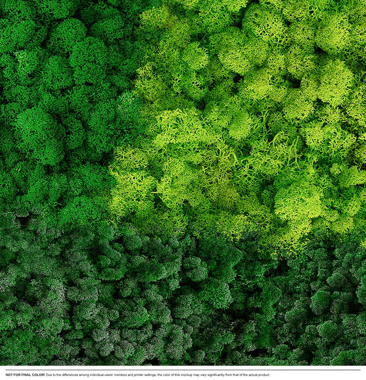 Moss