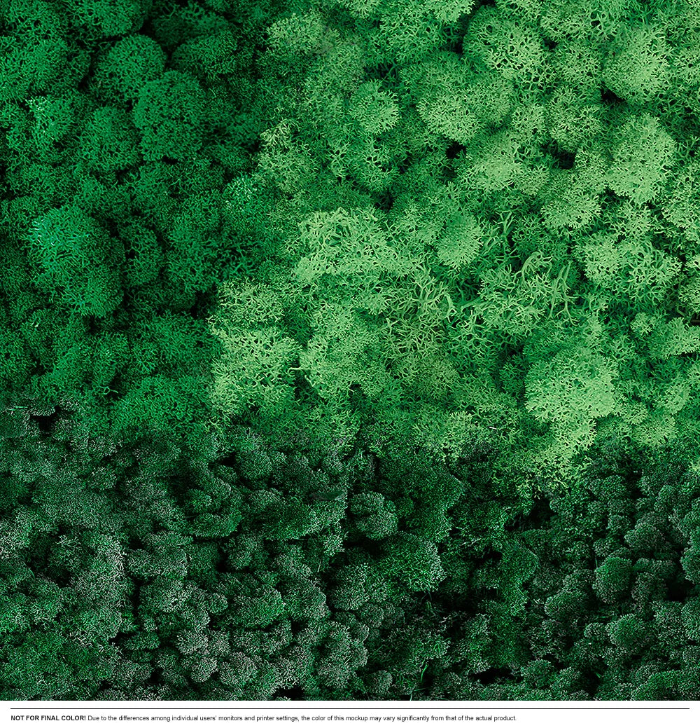 Moss