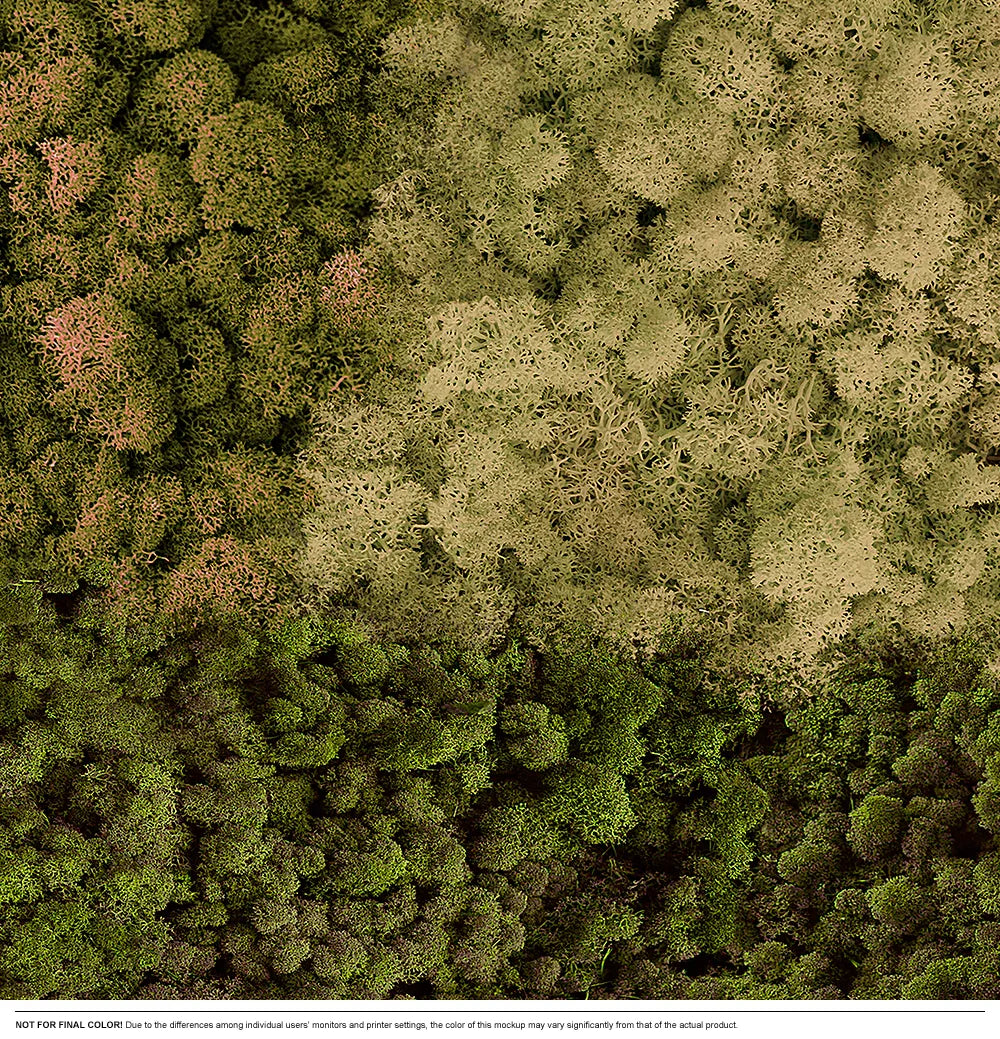Moss