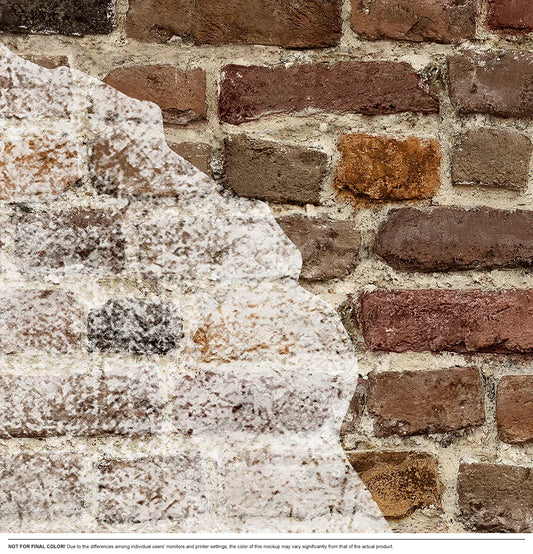 Painted Brick