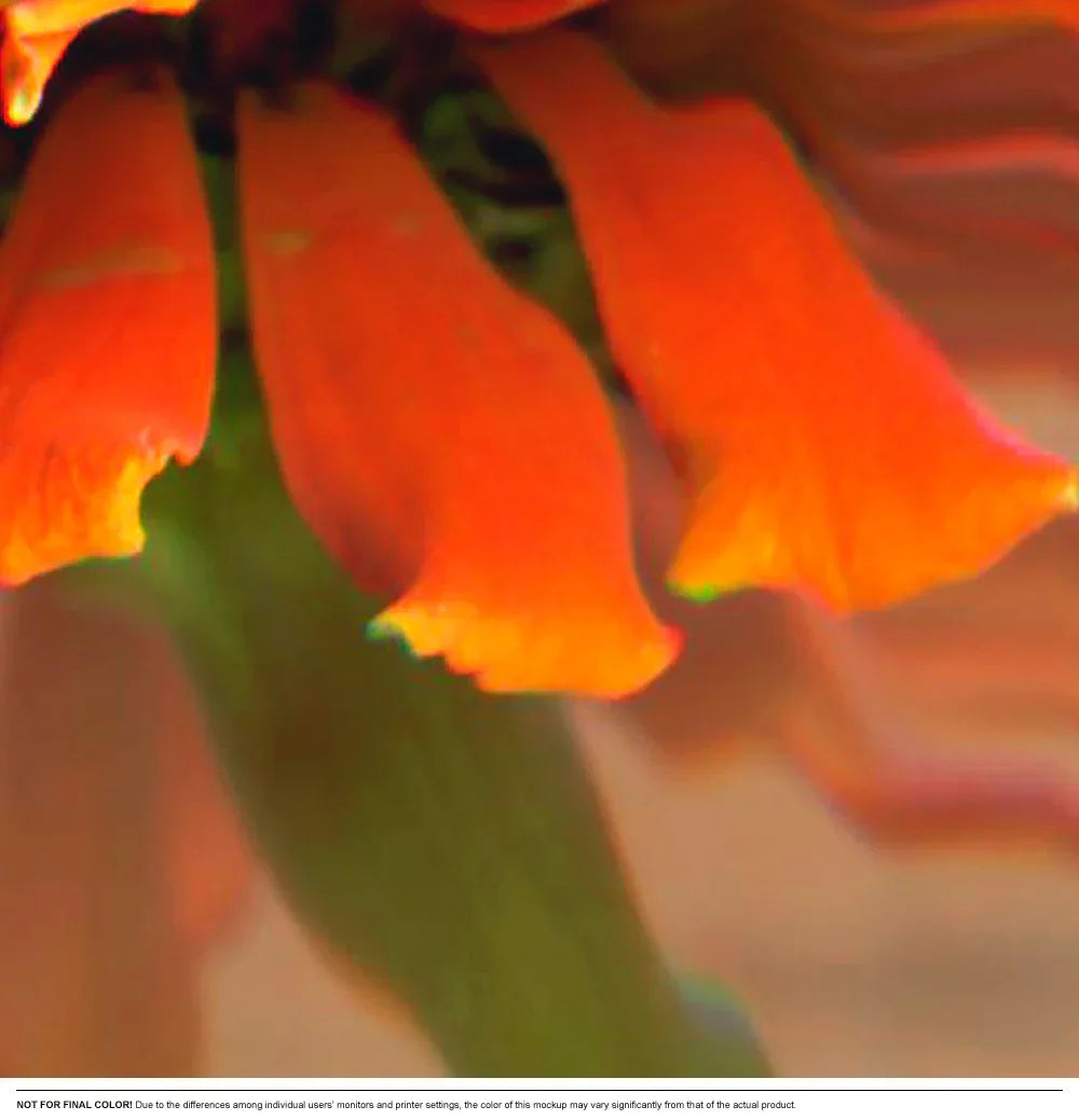 Bloomscape