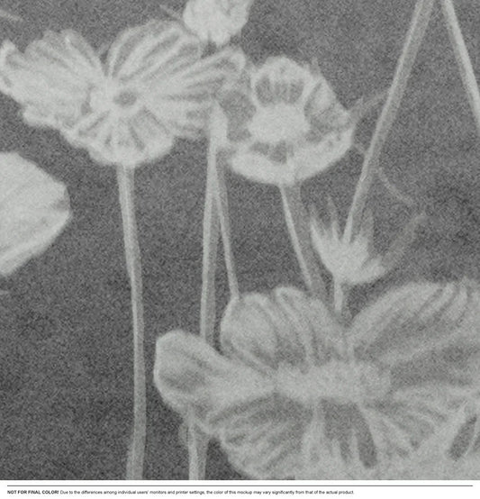 Meadow