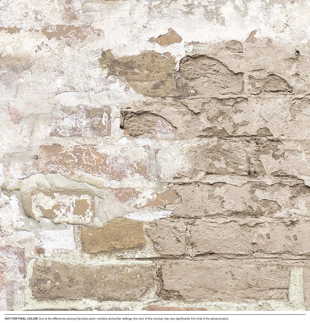 Timeworn Brick
