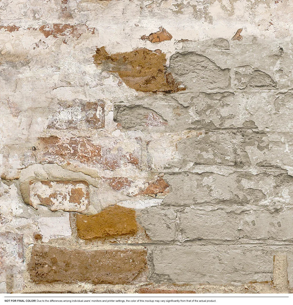 Timeworn Brick