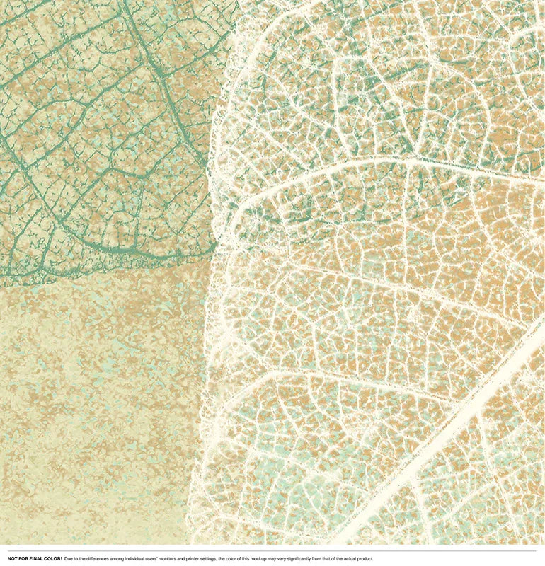 Leaf Shadows