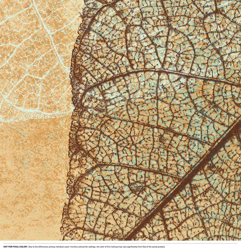 Leaf Shadows