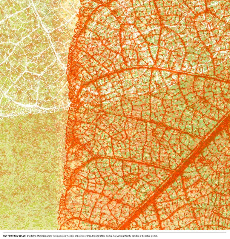 Leaf Shadows