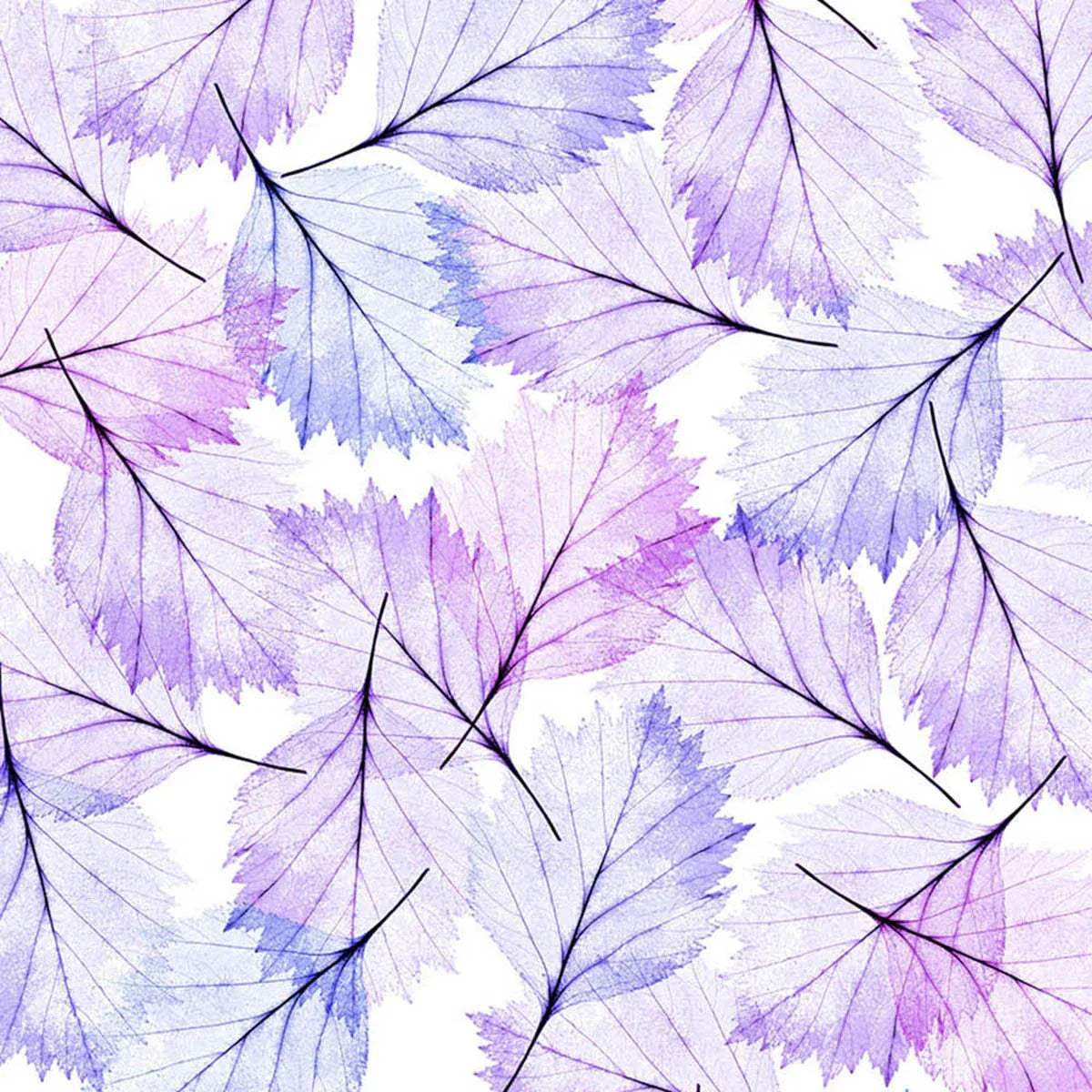 Leaves Modern