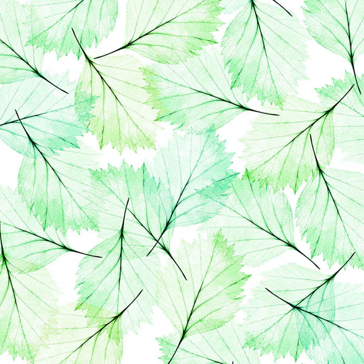 Leaves Modern