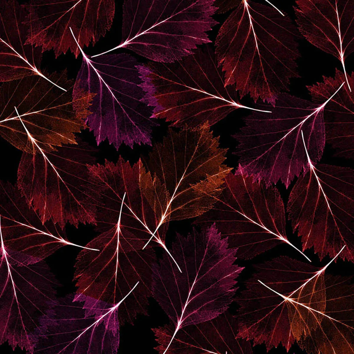 Leaves Modern