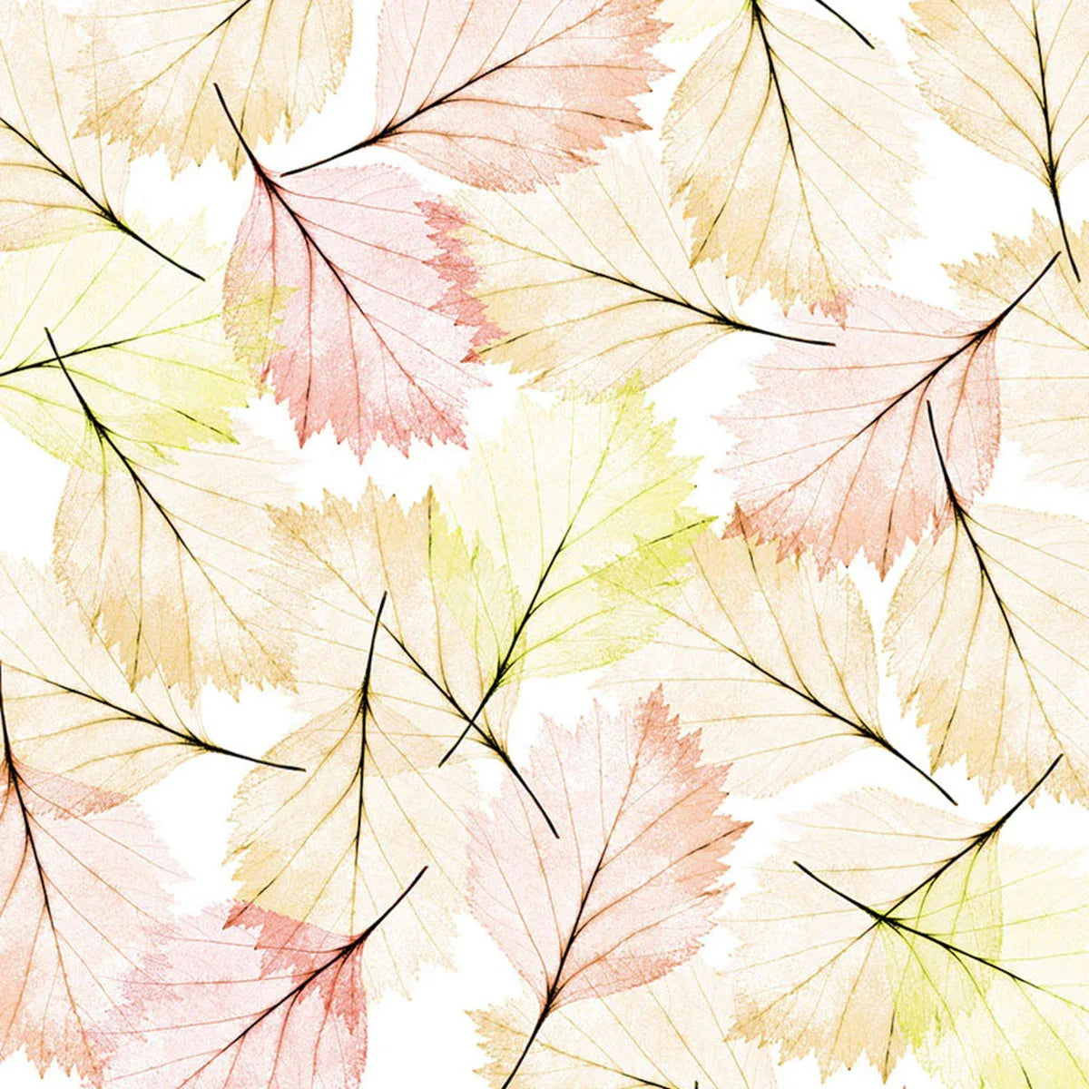 Leaves Modern
